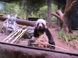 恩賜上野動物園に投稿された画像（2024/8/23）