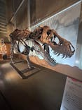 巨大恐竜展2024に投稿された画像（2024/8/23）