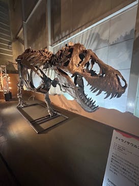 巨大恐竜展2024に投稿された画像（2024/8/23）
