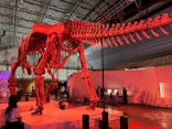 巨大恐竜展2024に投稿された画像（2024/8/23）