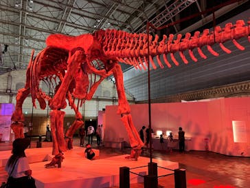 巨大恐竜展2024に投稿された画像（2024/8/23）