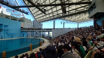 横浜・八景島シーパラダイスに投稿された画像（2024/8/23）