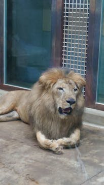 千葉市動物公園に投稿された画像（2024/8/23）