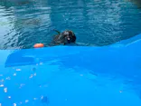 仙台うみの杜水族館に投稿された画像（2024/8/23）