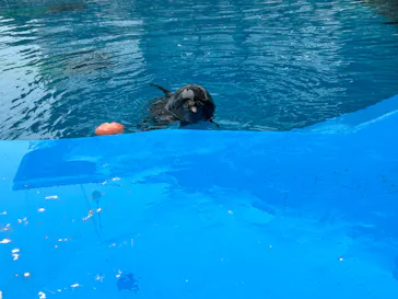 仙台うみの杜水族館に投稿された画像（2024/8/23）