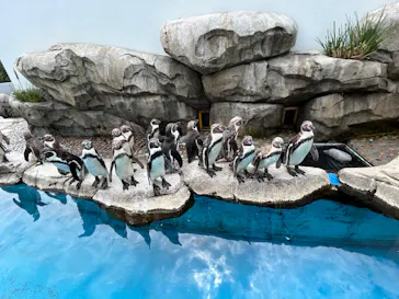 仙台うみの杜水族館に投稿された画像（2024/8/23）