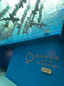 仙台うみの杜水族館に投稿された画像（2024/8/23）