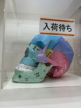 国立科学博物館に投稿された画像（2024/8/23）