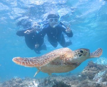 アマミエンシスに投稿された画像（2024/8/23）