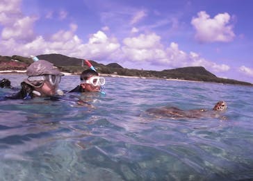 アマミエンシスに投稿された画像（2024/8/23）