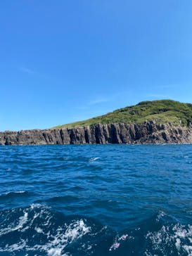 東尋坊観光遊覧船株式会社に投稿された画像（2024/8/23）