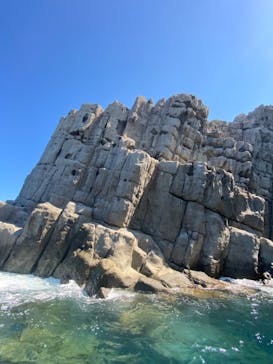 東尋坊観光遊覧船株式会社に投稿された画像（2024/8/23）