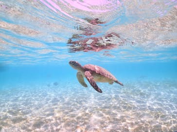 宮古島マリン GB QUESTに投稿された画像（2023/5/9）