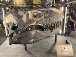 福井県立恐竜博物館に投稿された画像（2024/8/23）