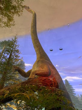 福井県立恐竜博物館に投稿された画像（2024/8/23）