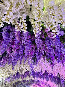 東京サマーランドに投稿された画像（2024/8/23）