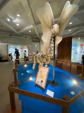 岐阜県博物館に投稿された画像（2024/8/23）