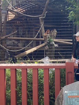 よこはま動物園ズーラシアに投稿された画像（2024/8/23）