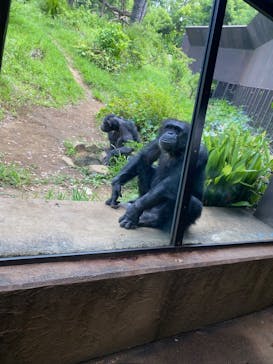 よこはま動物園ズーラシアに投稿された画像（2024/8/23）