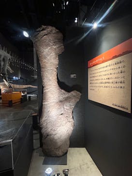 福井県立恐竜博物館に投稿された画像（2024/8/23）