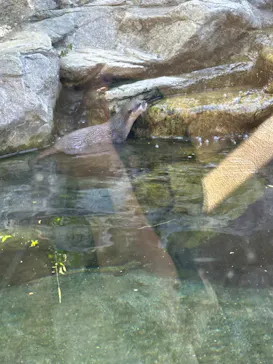 ひらかたパークに投稿された画像（2024/8/23）