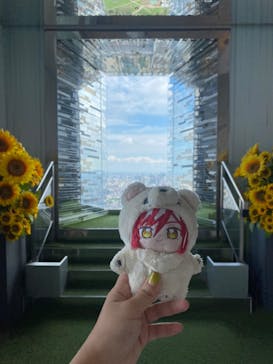 サンシャイン60展望台に投稿された画像（2024/8/23）