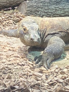 名古屋市東山動植物園に投稿された画像（2024/8/23）