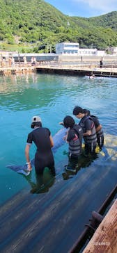 うみたま体験パーク 「つくみイルカ島」に投稿された画像（2024/8/23）