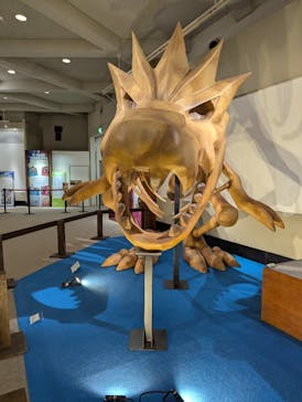 岐阜県博物館に投稿された画像（2024/8/23）