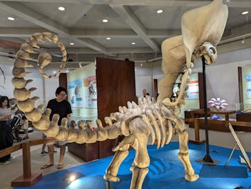 岐阜県博物館に投稿された画像（2024/8/23）