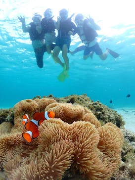 宮古島マリン GB QUESTに投稿された画像（2024/8/23）