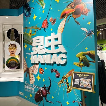 特別展「昆虫 MANIAC」（国立科学博物館）に投稿された画像（2024/8/23）