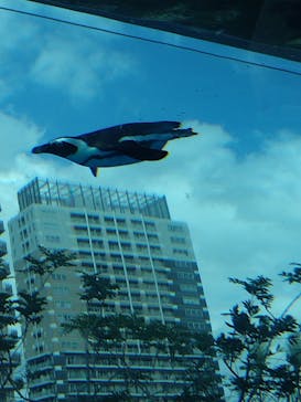 サンシャイン水族館に投稿された画像（2024/8/23）