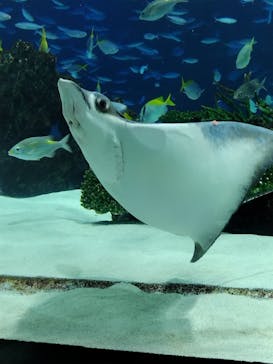 サンシャイン水族館に投稿された画像（2024/8/23）