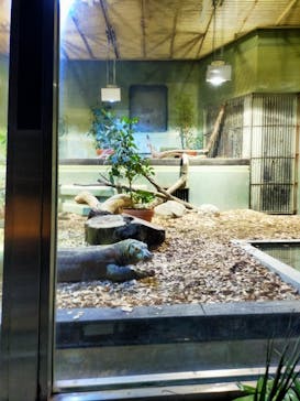 名古屋市東山動植物園に投稿された画像（2024/8/23）