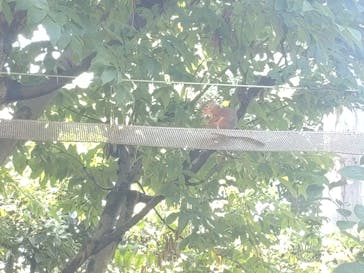 名古屋市東山動植物園に投稿された画像（2024/8/23）