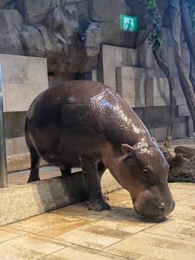 NIFREL（ニフレル）に投稿された画像（2024/8/23）