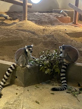 NIFREL（ニフレル）に投稿された画像（2024/8/23）