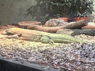 名古屋市東山動植物園に投稿された画像（2024/8/23）