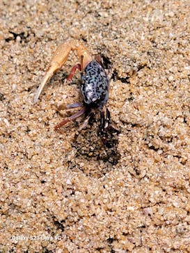 サンシャイン水族館に投稿された画像（2024/8/23）
