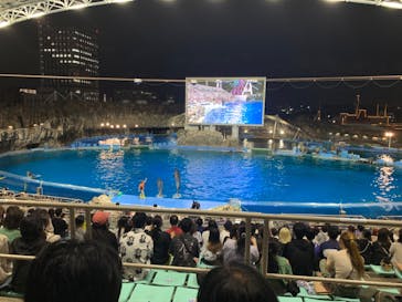 名古屋港水族館に投稿された画像（2024/8/23）
