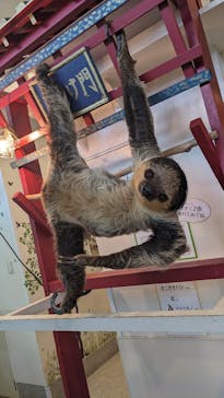 アニタッチみなとみらいに投稿された画像（2024/8/23）