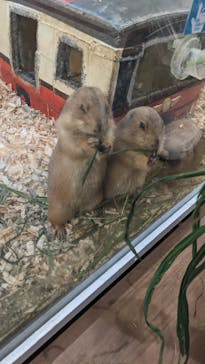 アニタッチみなとみらいに投稿された画像（2024/8/23）