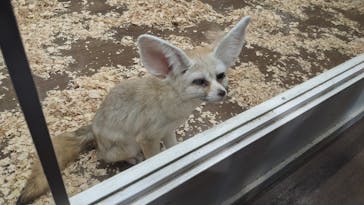 アニタッチみなとみらいに投稿された画像（2024/8/23）