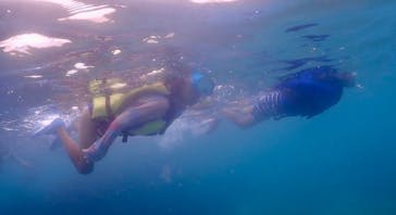 元気玉に投稿された画像（2024/8/23）