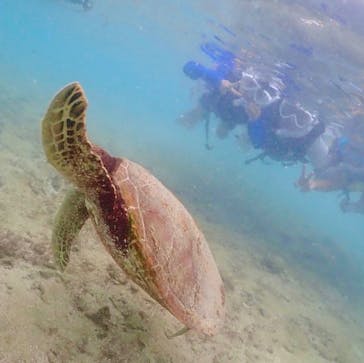 元気玉に投稿された画像（2024/8/23）