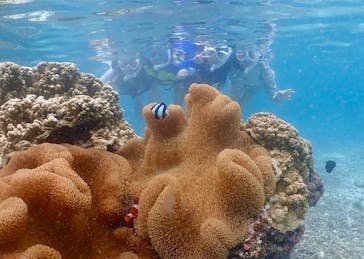 元気玉に投稿された画像（2024/8/23）