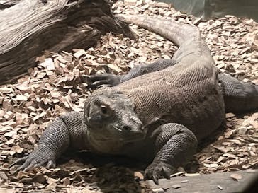名古屋市東山動植物園に投稿された画像（2024/8/23）