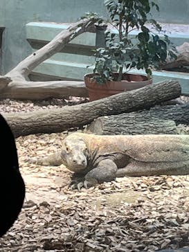 名古屋市東山動植物園に投稿された画像（2024/8/23）