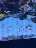 サンシャイン水族館に投稿された画像（2024/8/23）